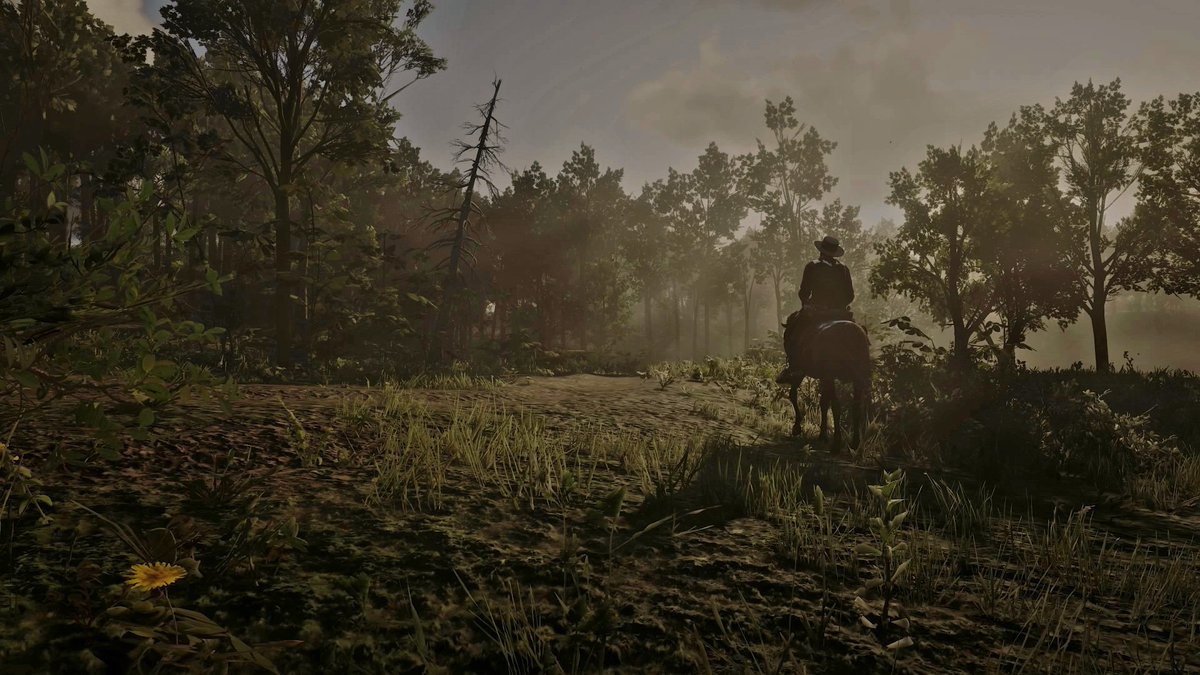 Happy 7th anniversary to the game of my life 🐎

#RedDeadRedemption2