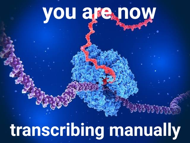 SoggyKiwi 🥝 (@kiwisoggy) on Twitter photo 