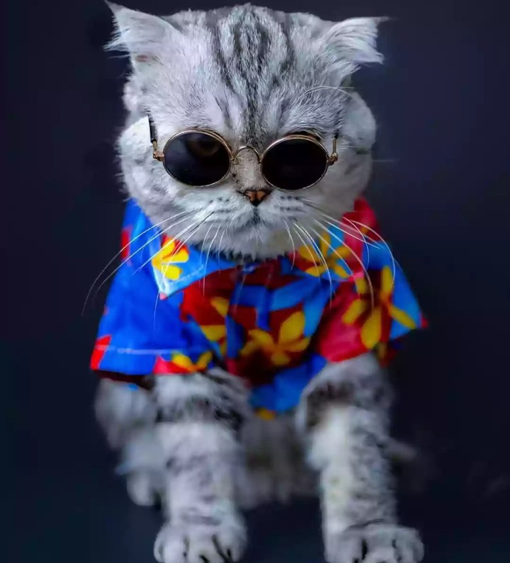 非売品 希少 的場文男 勝負服柄 的ムチ 引退発表の的場文男