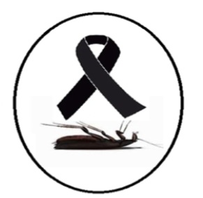 Marisa (@marisaramallo) on Twitter photo 