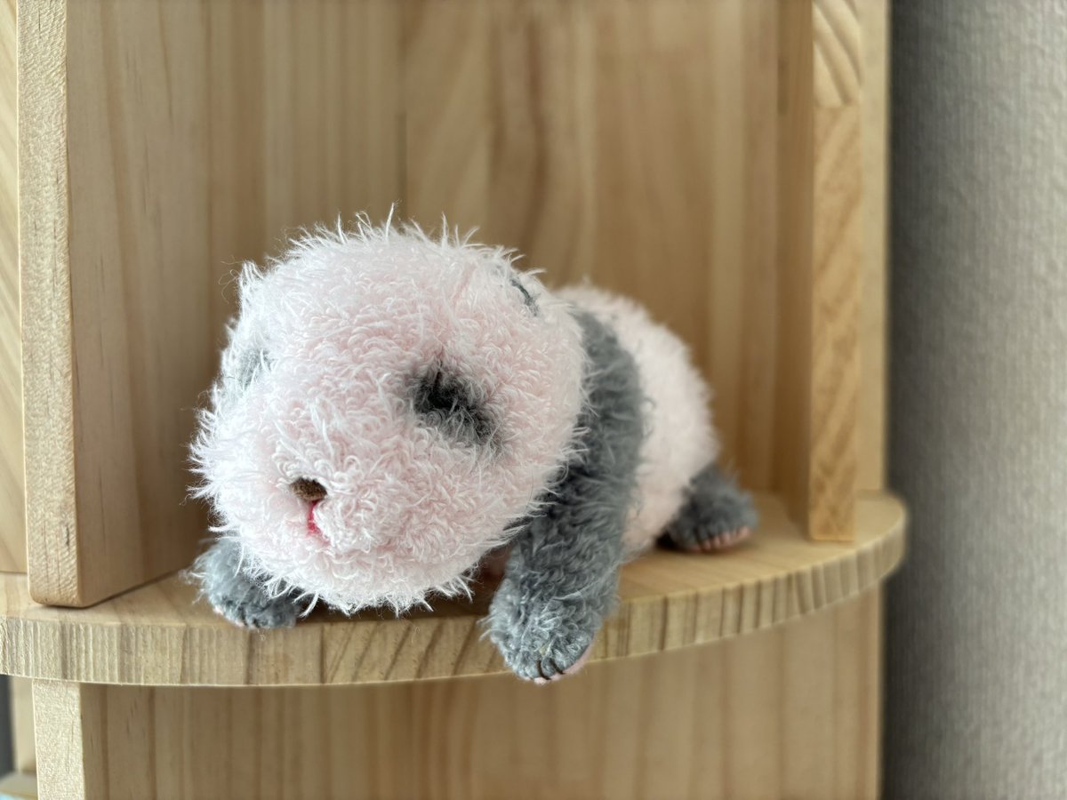 ❀ももまる❀ ももまる (@momo___mal50) / Posts / X