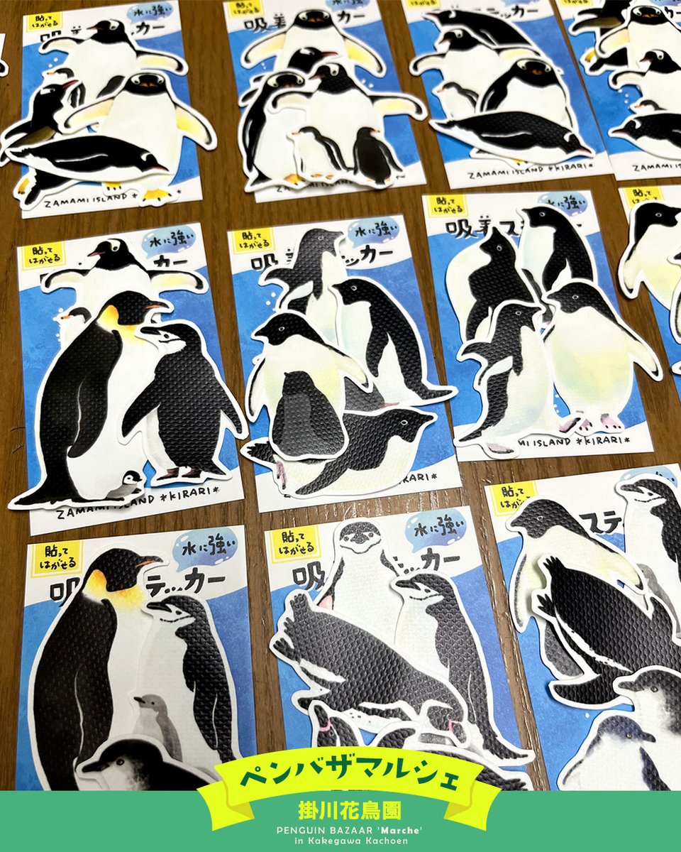 Papa Penguin様 Papa Penguin: 9781783449767: Books - Amazon.ca