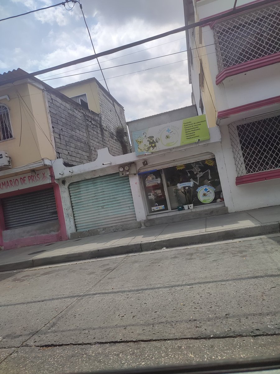 javiortg's tweet photo. @Cdla_Guayacanes Atención!! Lamentablemente nuestro chimuelo perdió la batalla debido a la intoxicación que provocó la negligencia de la Veterinaria SAUCES, ubicada a una cuadra de la Iglesia Santa Isabel, esta Pseudo Veterinaria aplicó un enema de uso humano en él y acabó con su vida. https://t.co/iae5yRxgyc