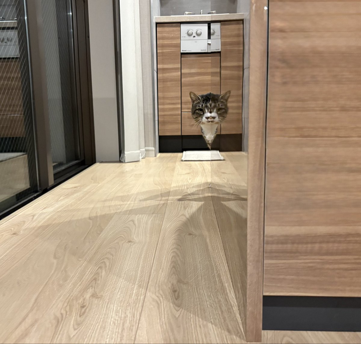 AIが生成したような生き物が生えてる