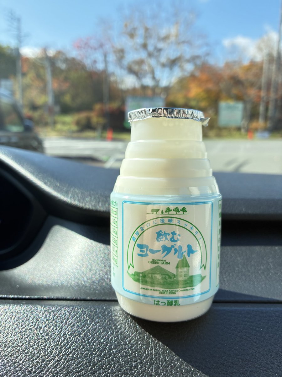 新郷村の名物らしい【飲むヨーグルト】も爆飲!
おおお!
ギリ飲めるヨーグルト!
ほぼほぼ固形です!
飲もうと思えば飲めなくもないヨーグルト!
つまりは濃厚!
たいへんに美味い!