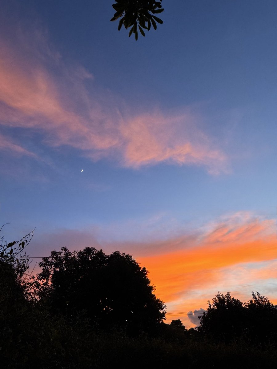 Vísperas de noviembre🤩