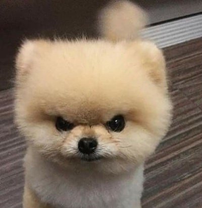 밤즈 (@bamz0913) on Twitter photo 