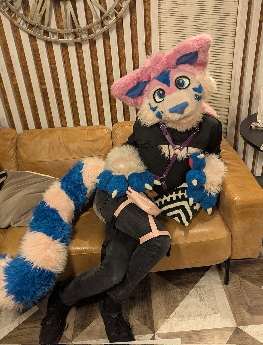 Hmmm yes tell me again about this scheme to steal the chocolate filled croissants. 
<a href="/NorwichFurmeets/">Norwich & Norfolk Furmeets UK</a> was great none the less