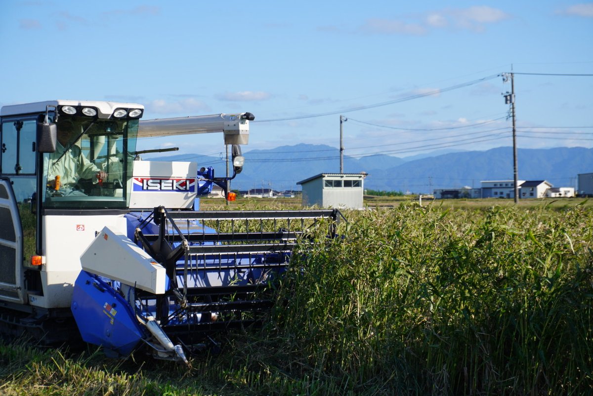 ／
生産量日本一🥇
ハトムギが収穫最盛期を迎えています📣
＼

美容や健康に効果があるとして人気を集めている「ハトムギ」✨

富山県はハトムギの生産量が日本一❣️
令和7年産が収穫期を迎えています🎵

ハトムギを使った豆乳飲料やハトムギ茶はJAタウンにて販売中です👀

ja-town.com/shop/c/c3B66/