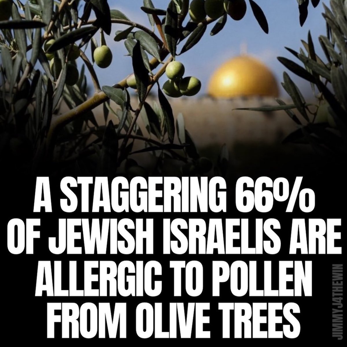 <a href="/erlanishere/">Mas Gres</a> Imigran Eropa☕️