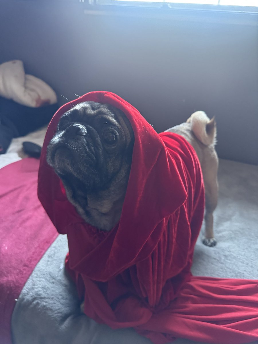 he’s ready for tonight 🔥🔥🔥