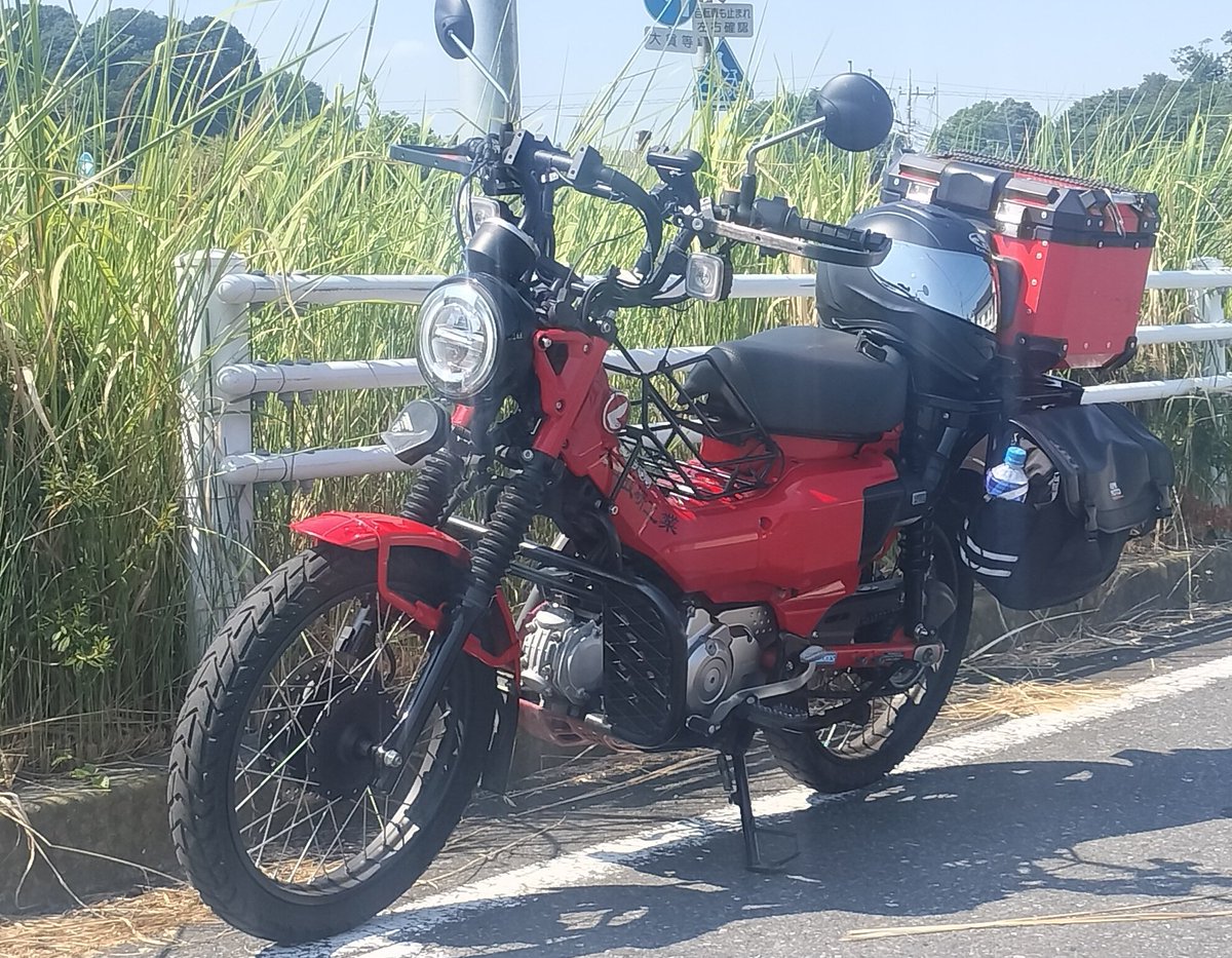 ヒ·タギ tweet media