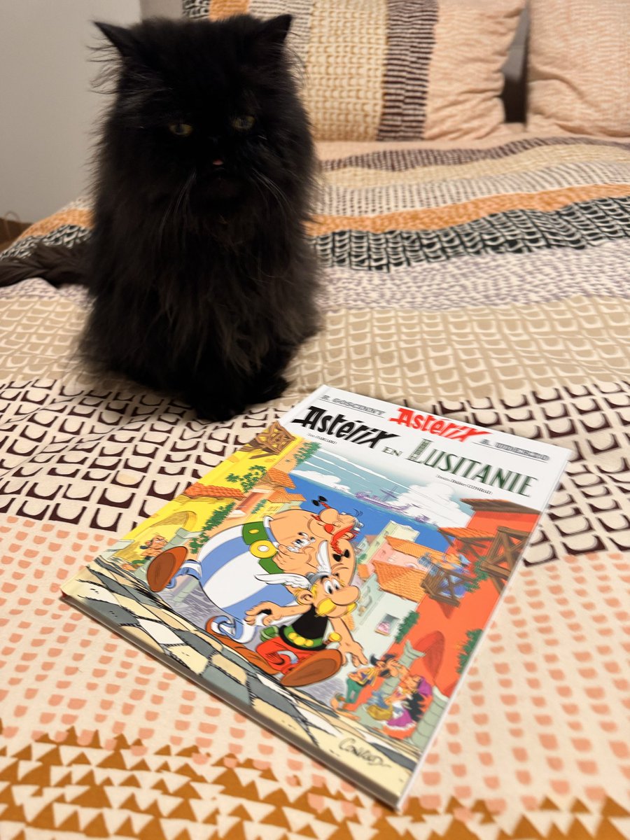 El marido fue al supermercado y me trajo el más reciente cómic de Astérix. 
De esas cosas que valen mucho para mí. Sobre todo cuando los detalles no son su fuerte, pero lo importante de Astérix lo sabe perfecto y lo recuerda: mi niñez y mi padre. Mi corazón es feliz ❤️