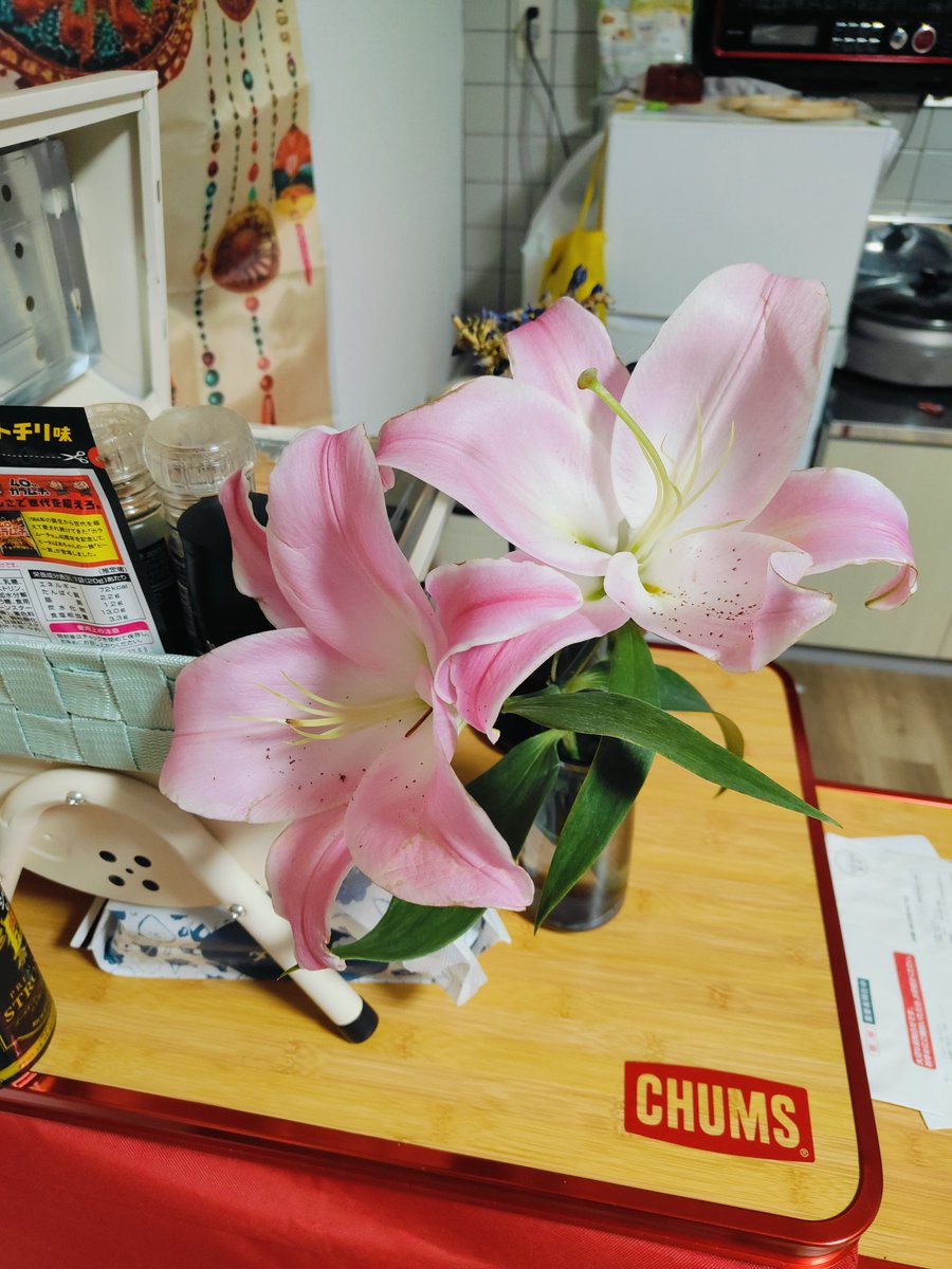 #カサブランカ 頂いた。綺麗で良い香り♡これからあの人のお父さんと会う。私を #彼女と呼んでくれず 実は #セフレ だった #クズ男 。私が復讐するのは違う。恨むのも違う。悔しいけど憎んだら負け。 #災い は天から落ちるもの。だからどうか私が穏やかであれるよう皆、 #見守って！！