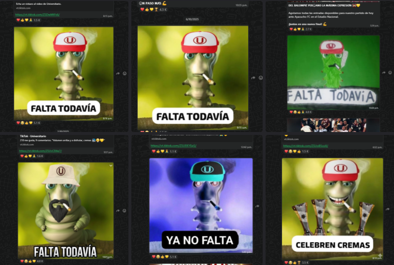 Sergi | ⭐ 29 tweet media