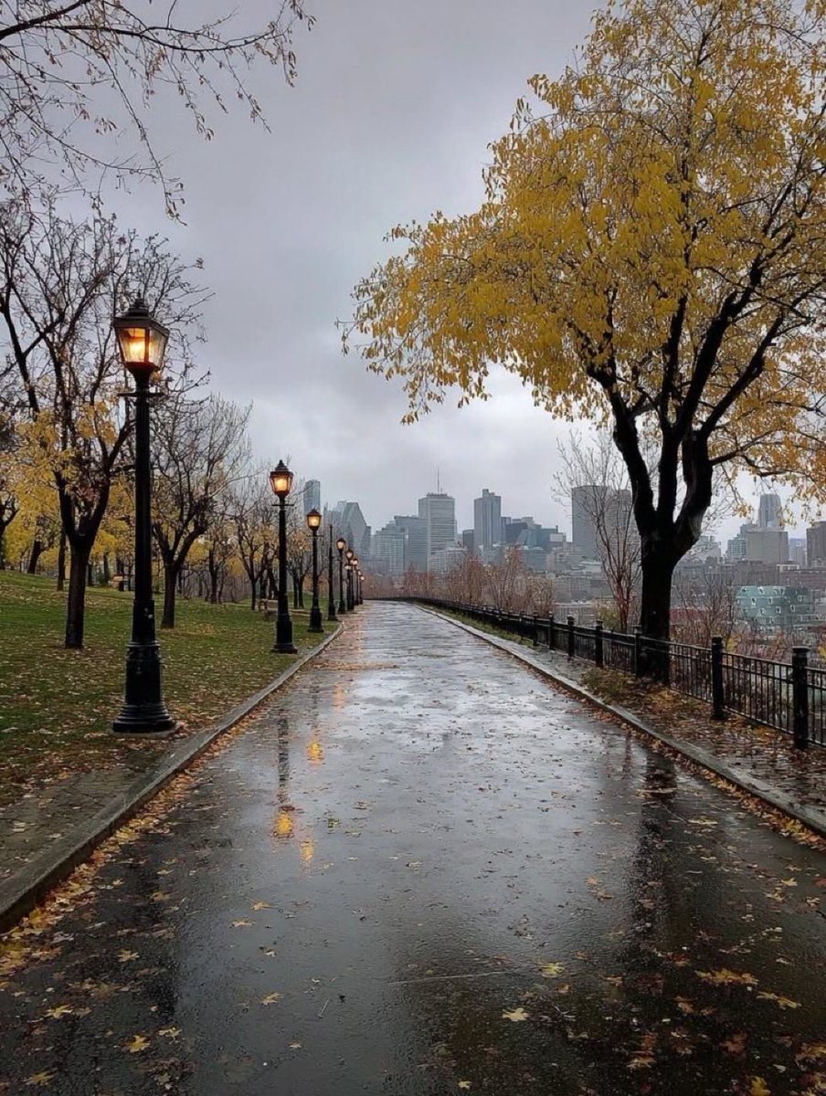 SAGE🌿 (@sagy720) on Twitter photo 