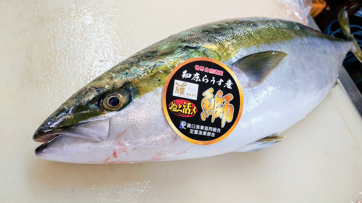 尼崎市役所【公式】 on X