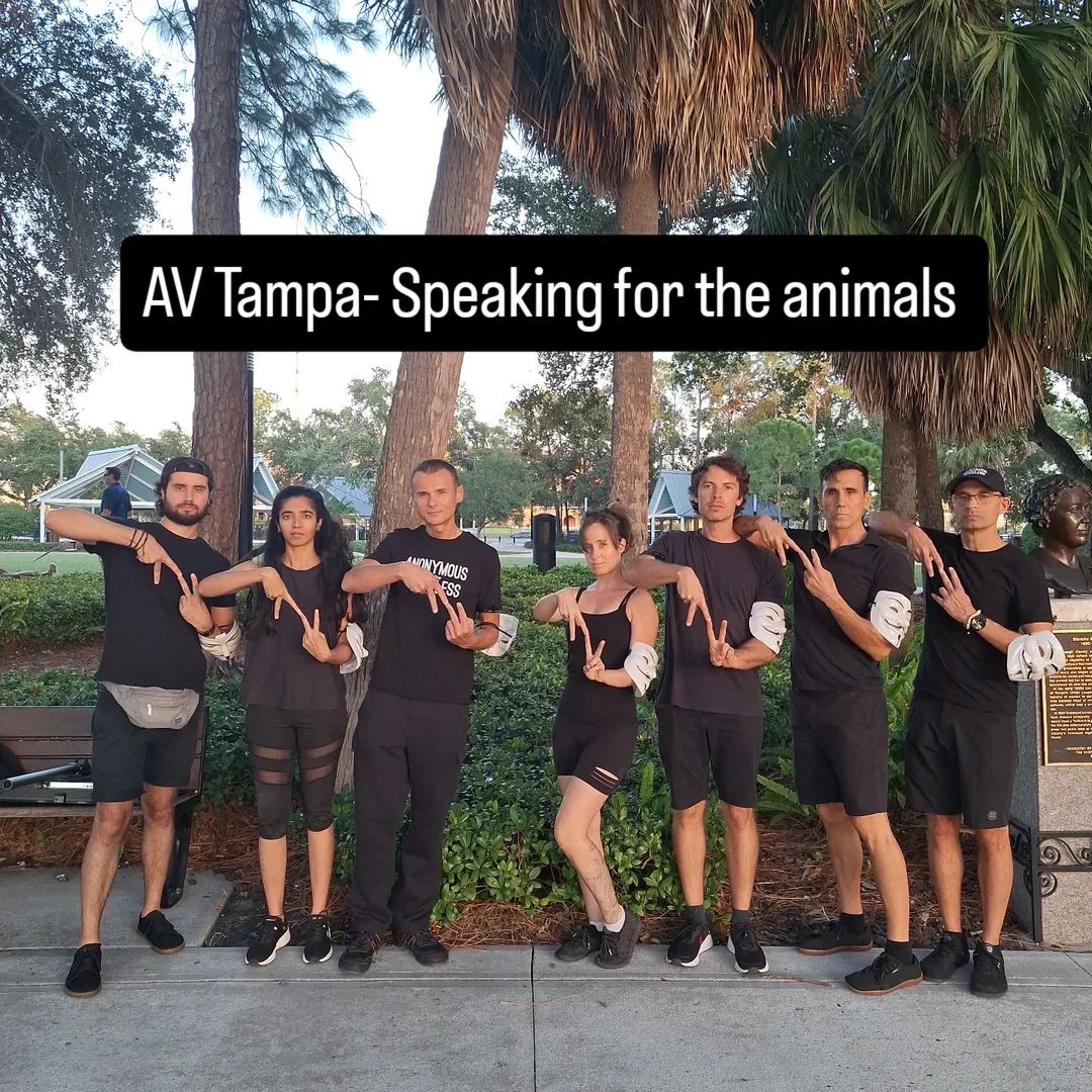 TomiKordic's tweet image. AV Tampa speaking up for the animals! #vegan #cubeoftruth #anonymousforthevoiceless