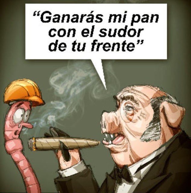 Esto votaste pelotudo 👇