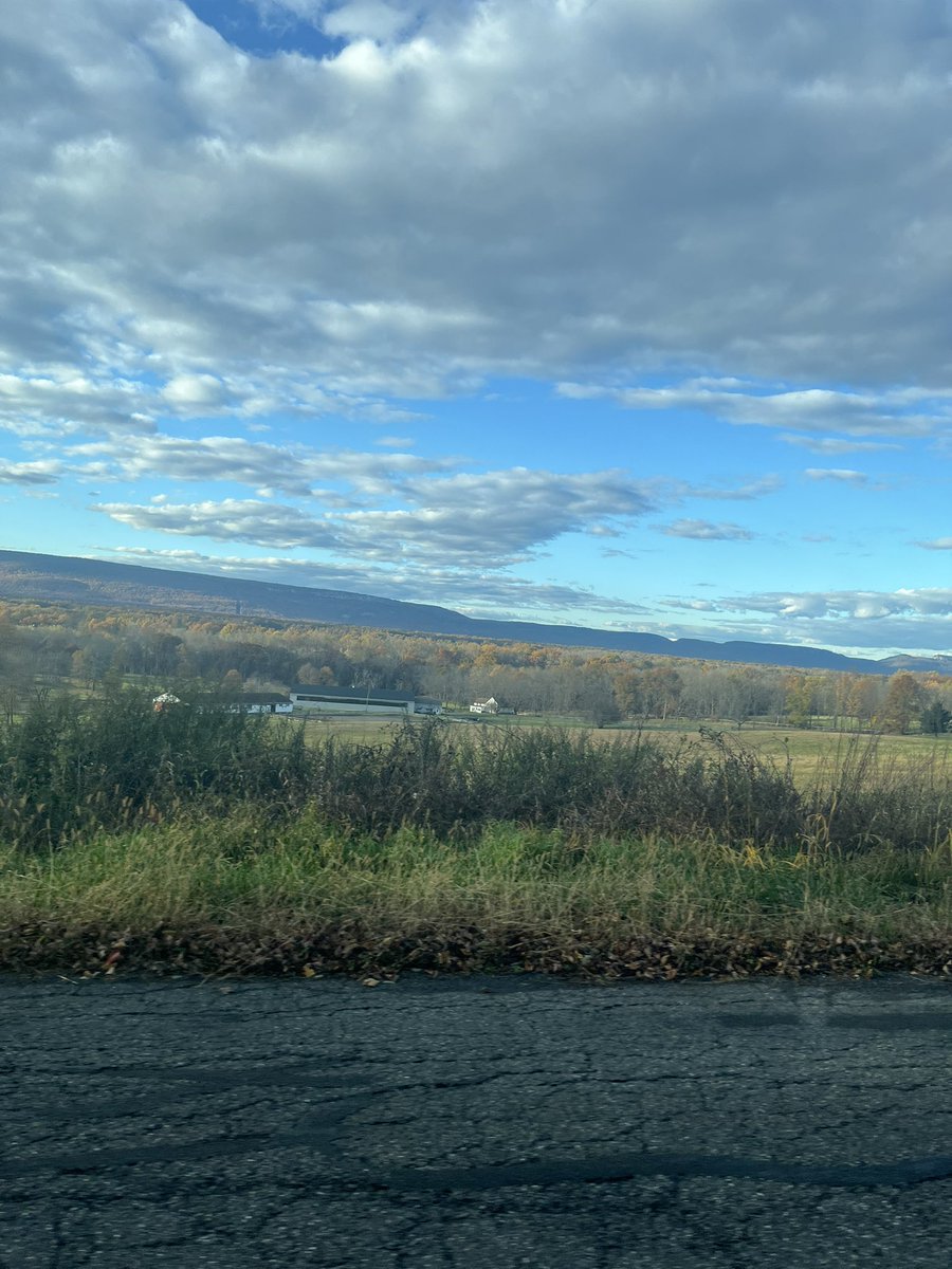 Won a challenge today w/ the Arbiter. 
Won a challenge and 5th at a cup last week with the same 60. 
Challenge 1
R1 Absol W
R2 joltik W
R3 Pult W
R4 Zard W
Cup
R1 Pult W
R2 Dengo Rocs L
R3 Crustle L
R4 Slowking W
R5 Arch W
Challenge 2
R1 Bolt W
R2 Grim W
R3 Lucario W
Boom Box 💥