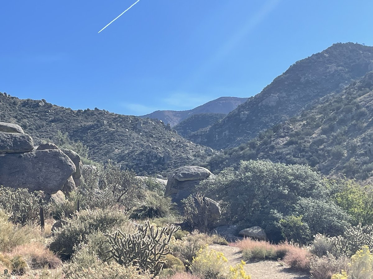 Howtobefit's tweet image. My malaise and fatigue may have been caused by low Vitamin D. A couple of days of 10,000 IU D3, and I felt almost like new. Most of this was a hike, but I finished with a run!