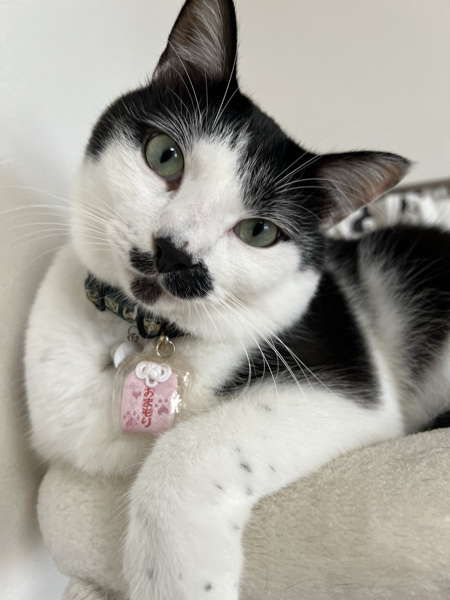 サナ5ヶ月 - Search / X