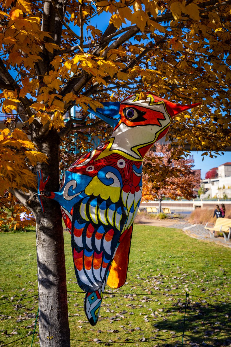 John Crouch tweet media