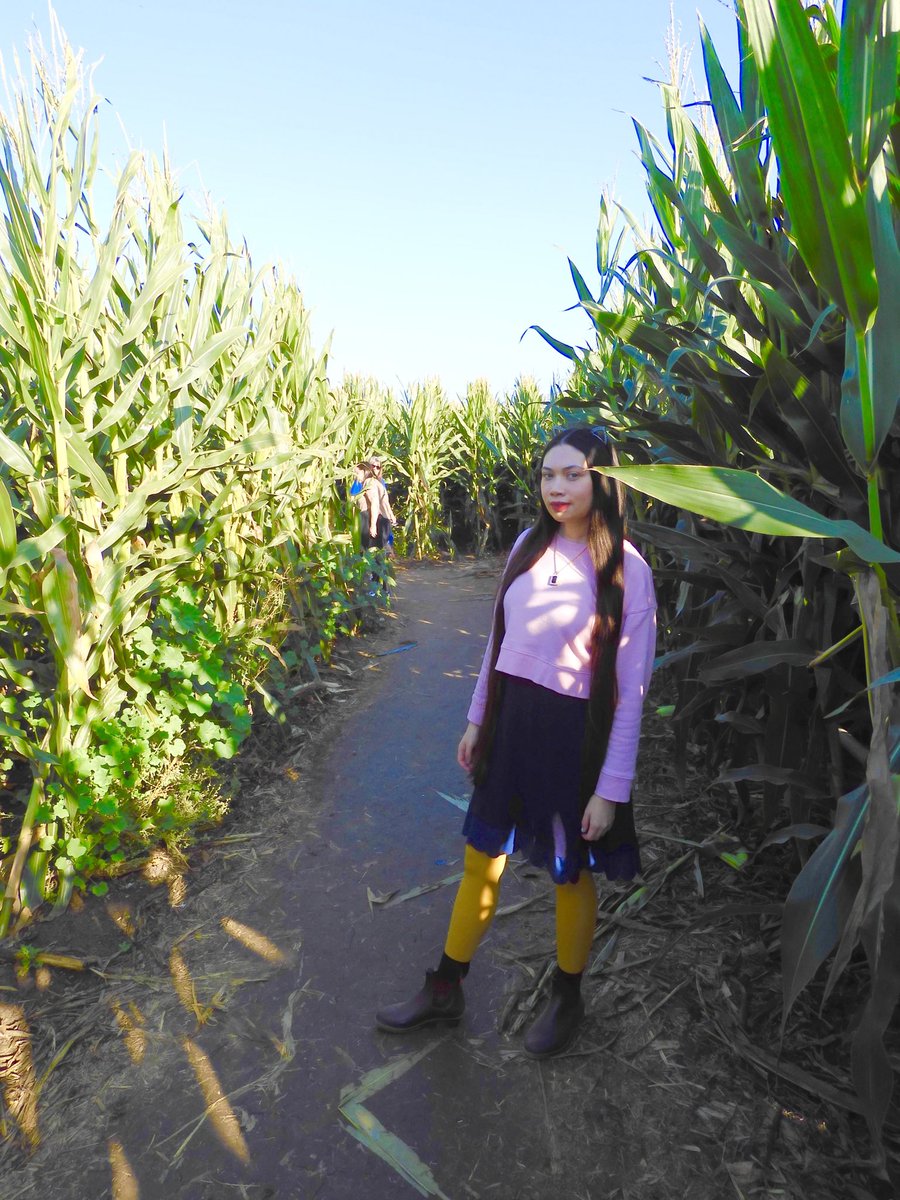 Queenie4ever's tweet image. Canejo family farms #pumpkinpatch #pumpkin #nationalpumpkinday
