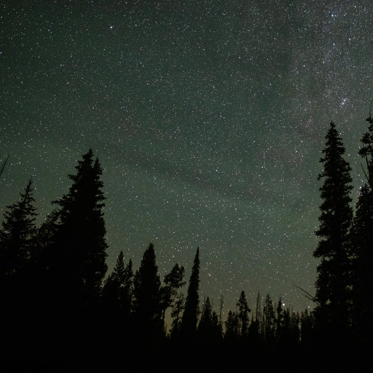 ridingrobots's tweet image. Airglow to the north
Near Alturas Lake, Idaho