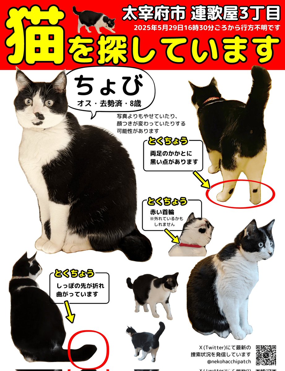 ちび猫※プロフ全文必読※ ちび猫※プロフ全文必読※2508W3 ちび猫※プロフ全文必読※2508W3