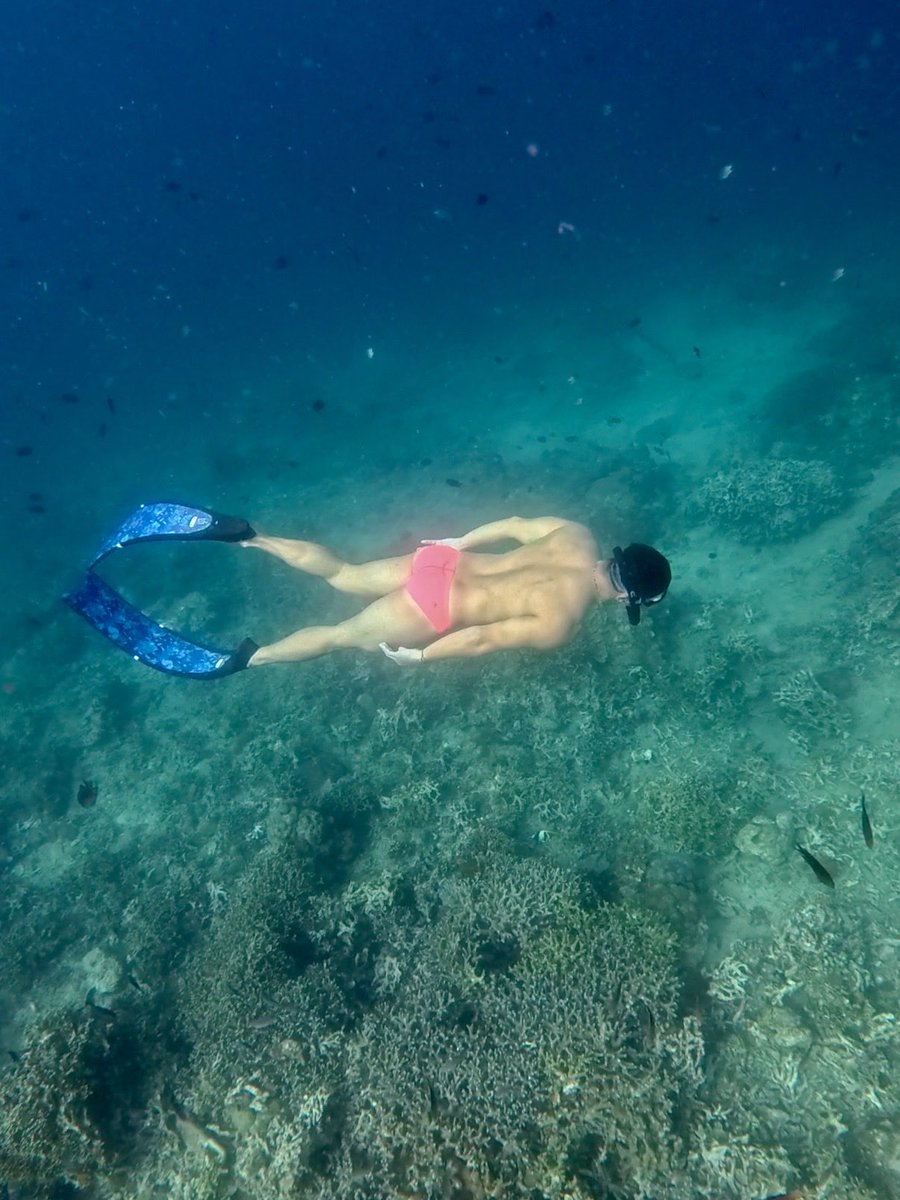 Sev Lubigan tweet media