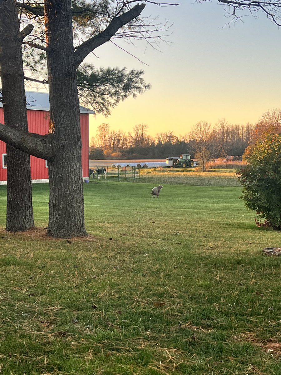 Captured a beautiful sunset tonight!
#viewsfromthehottub