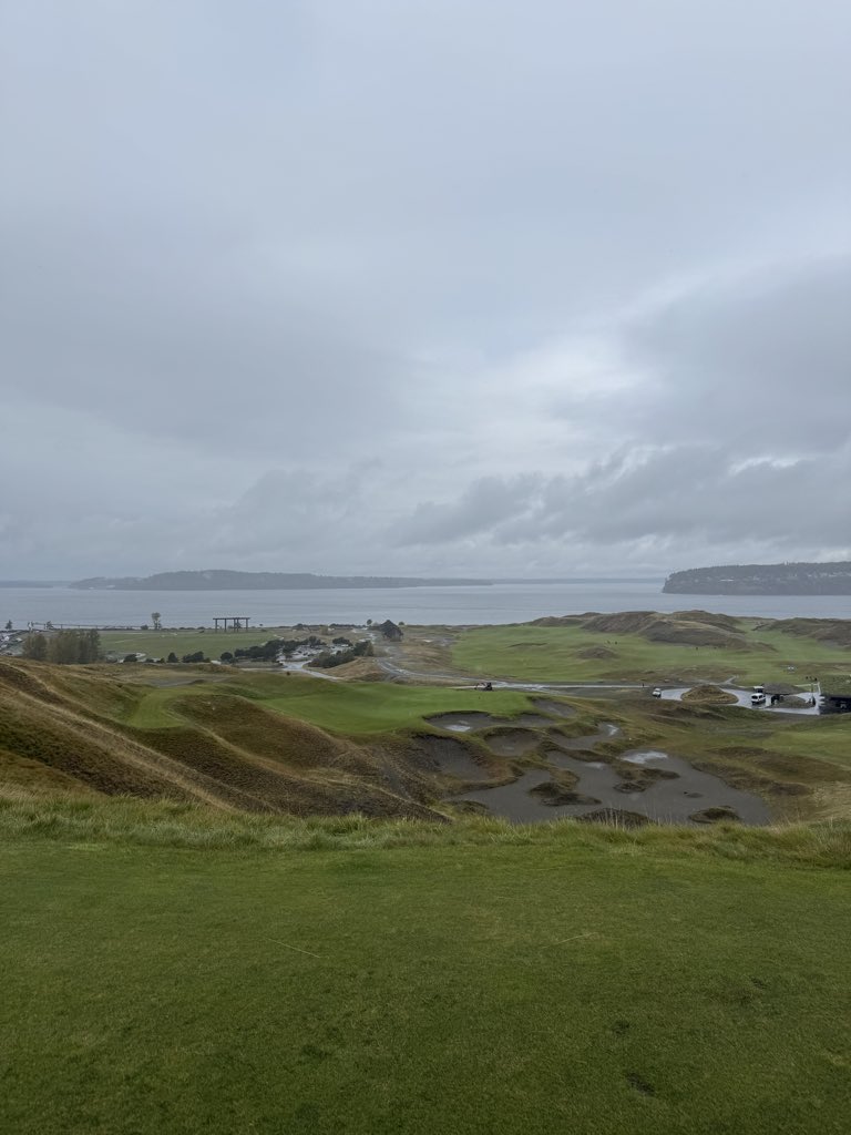 S H A N K S I N B I O tweet media