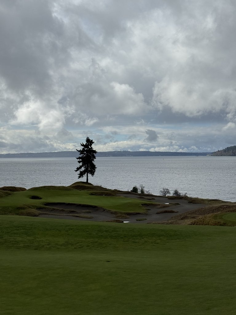 S H A N K S I N B I O tweet media