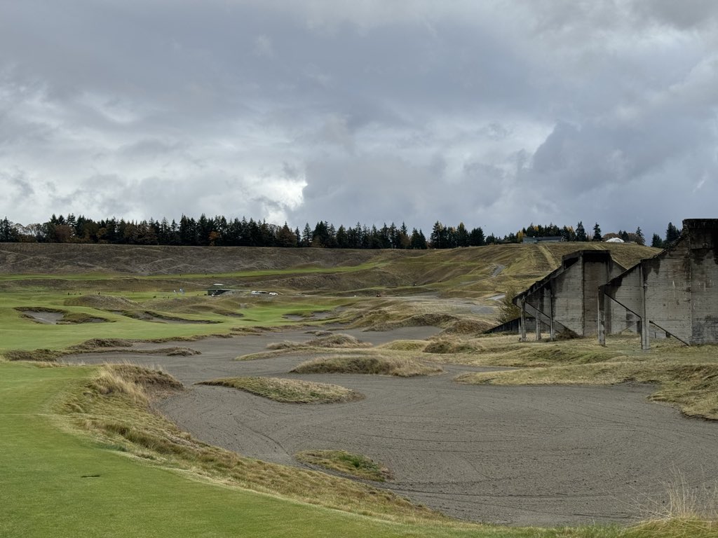 S H A N K S I N B I O tweet media