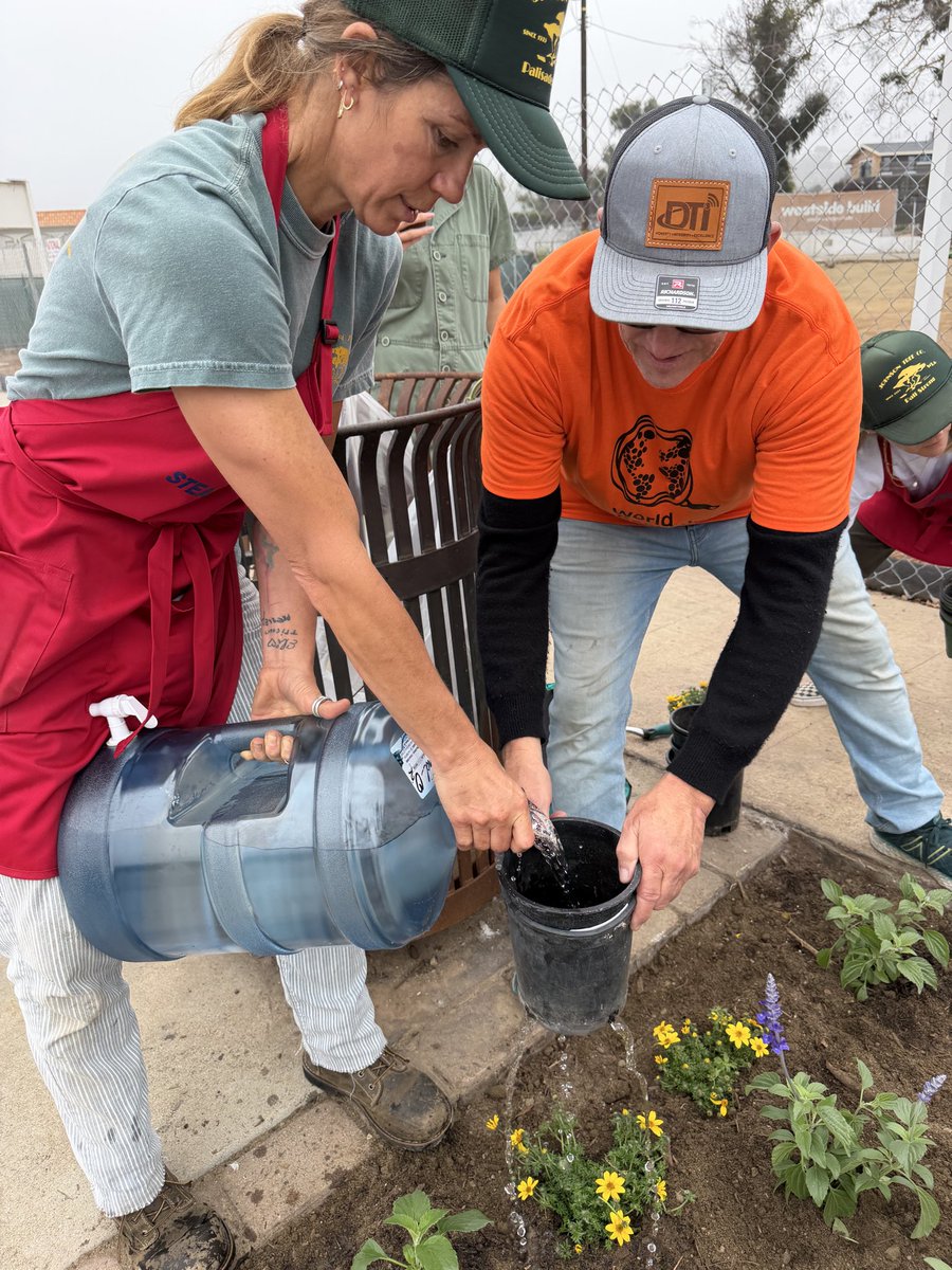 Steadfast LA tweet media