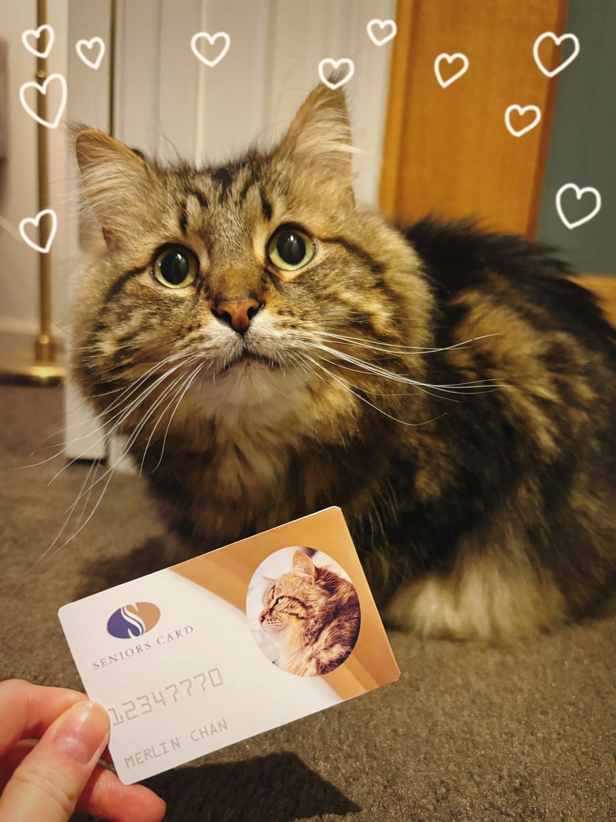 HE IS A SENIOR CATIZEN NOW!!! 🥺🙏❤️👴🏼🎉