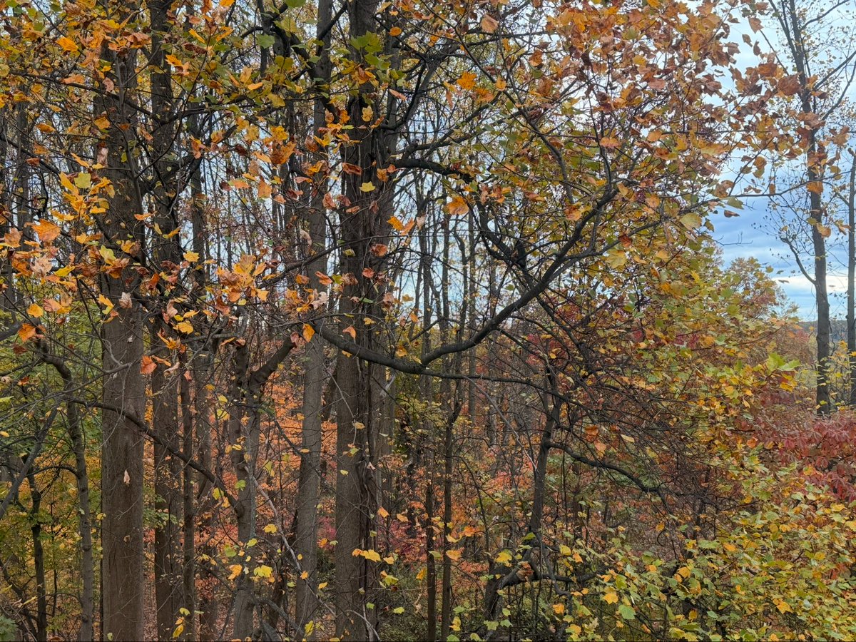 Ryan Saadi, Founder, TEVOGEN tweet media