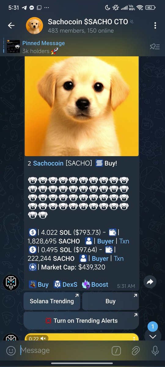 sachosolancto's tweet image. Sachicoin is about to leave the dog park and hit the moon! 🚀 Get ready for the youngest, goodest boi in crypto. Don&apos;t sleep on this pup! 🐶 #Sachicoin