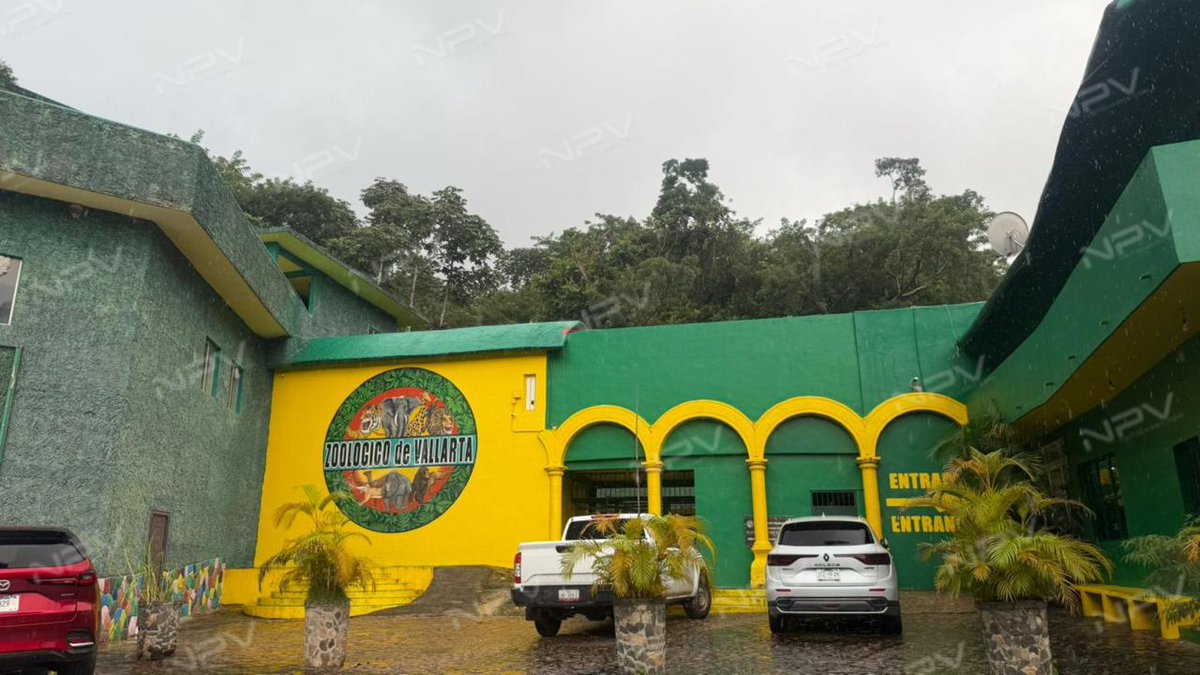 Noticias PV tweet media