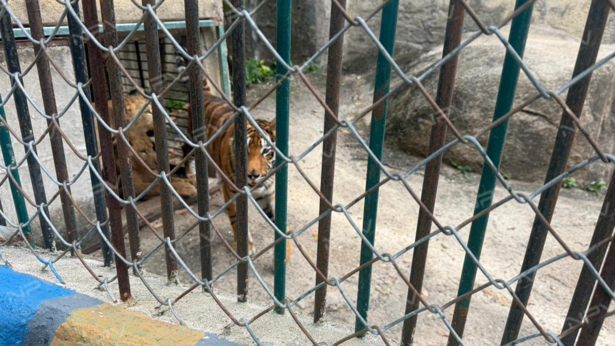 Noticias PV tweet media