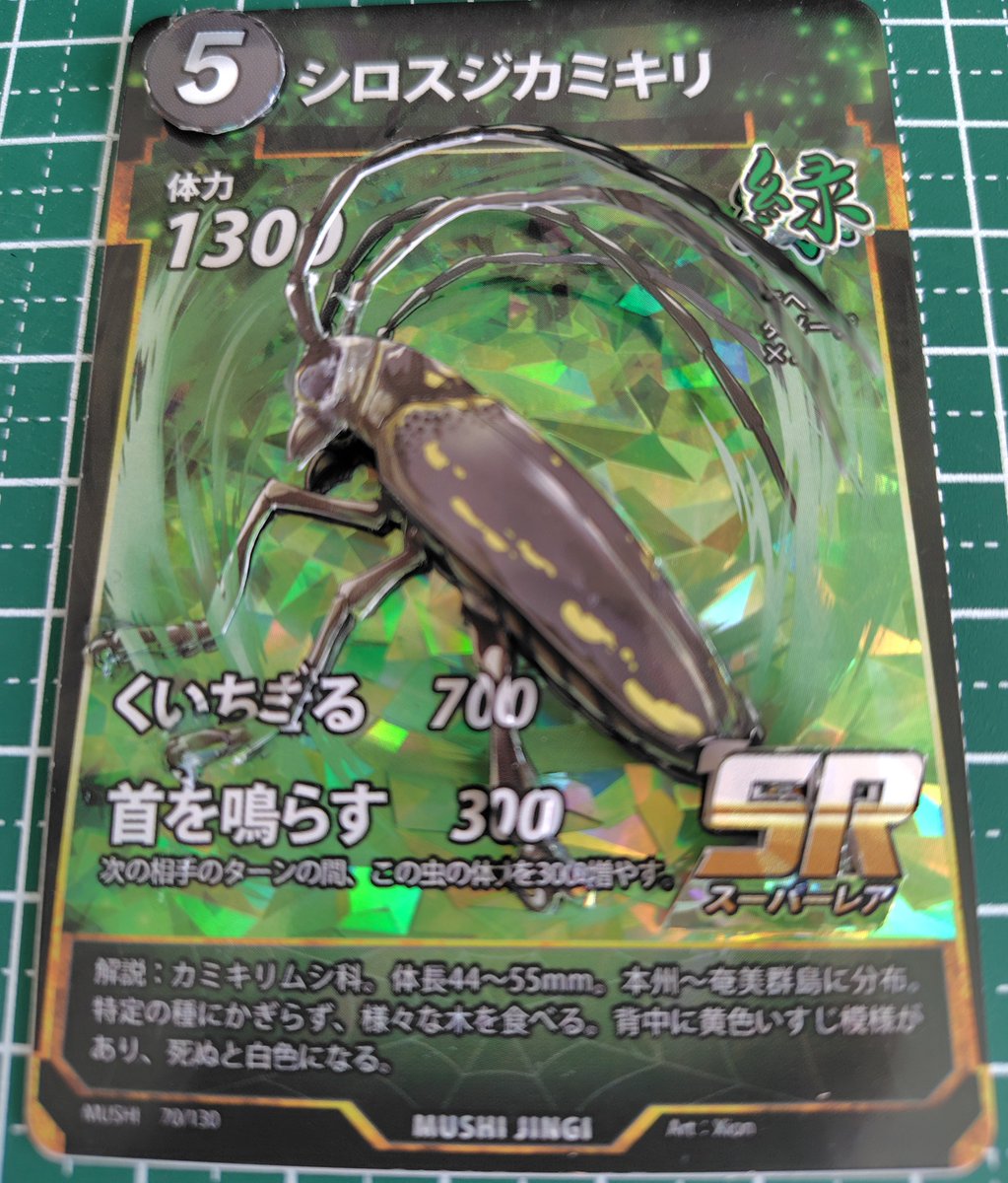 しゅら Kawasaki Ninja ZX-14R - YouTube