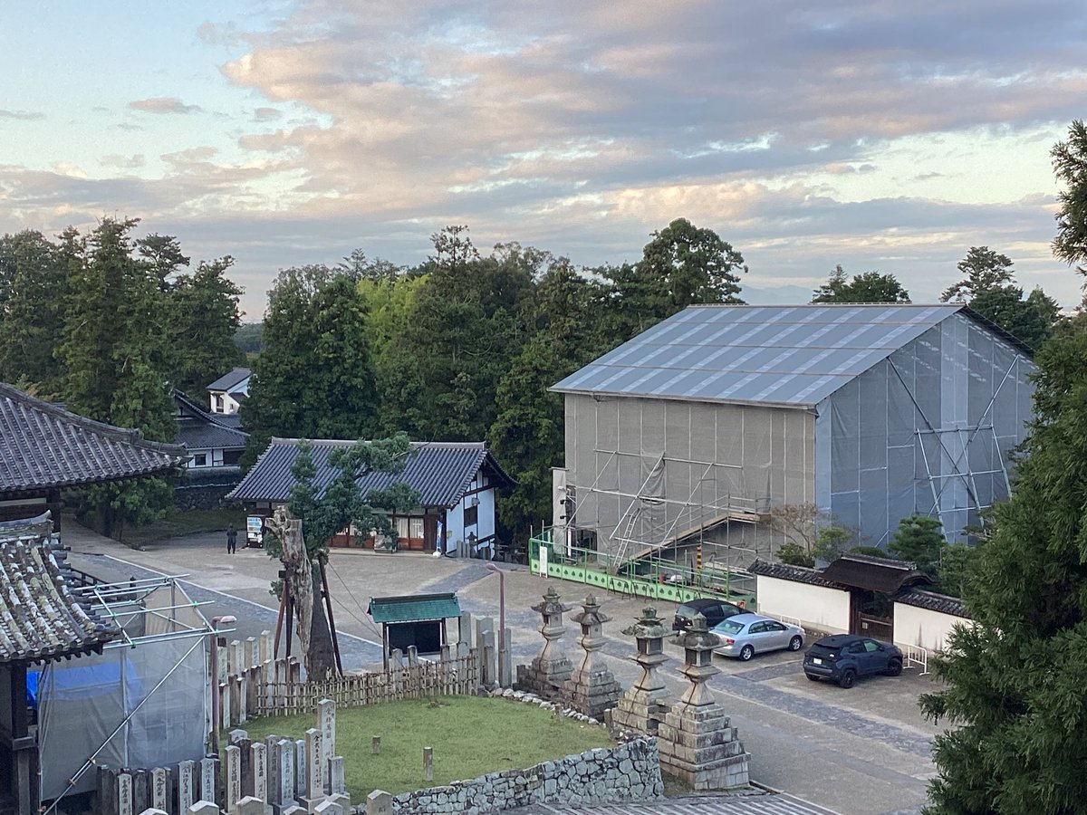 大仏様 ご確認 大仏さまの民 on X