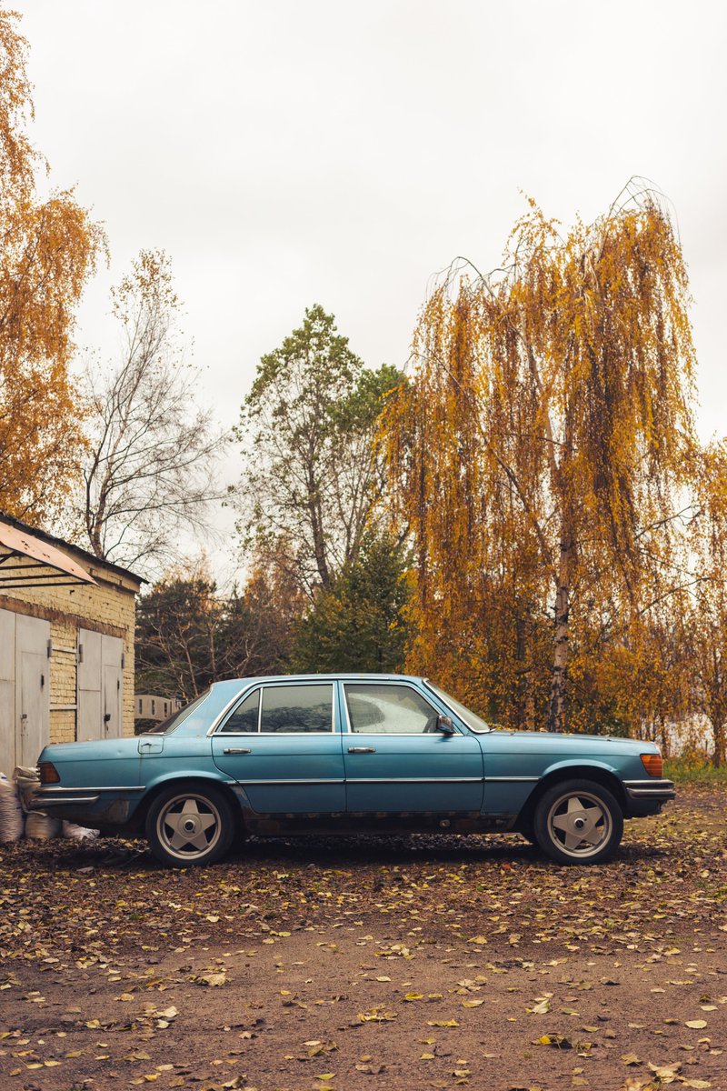 Red Shuheart (@red_shuheart) on Twitter photo 