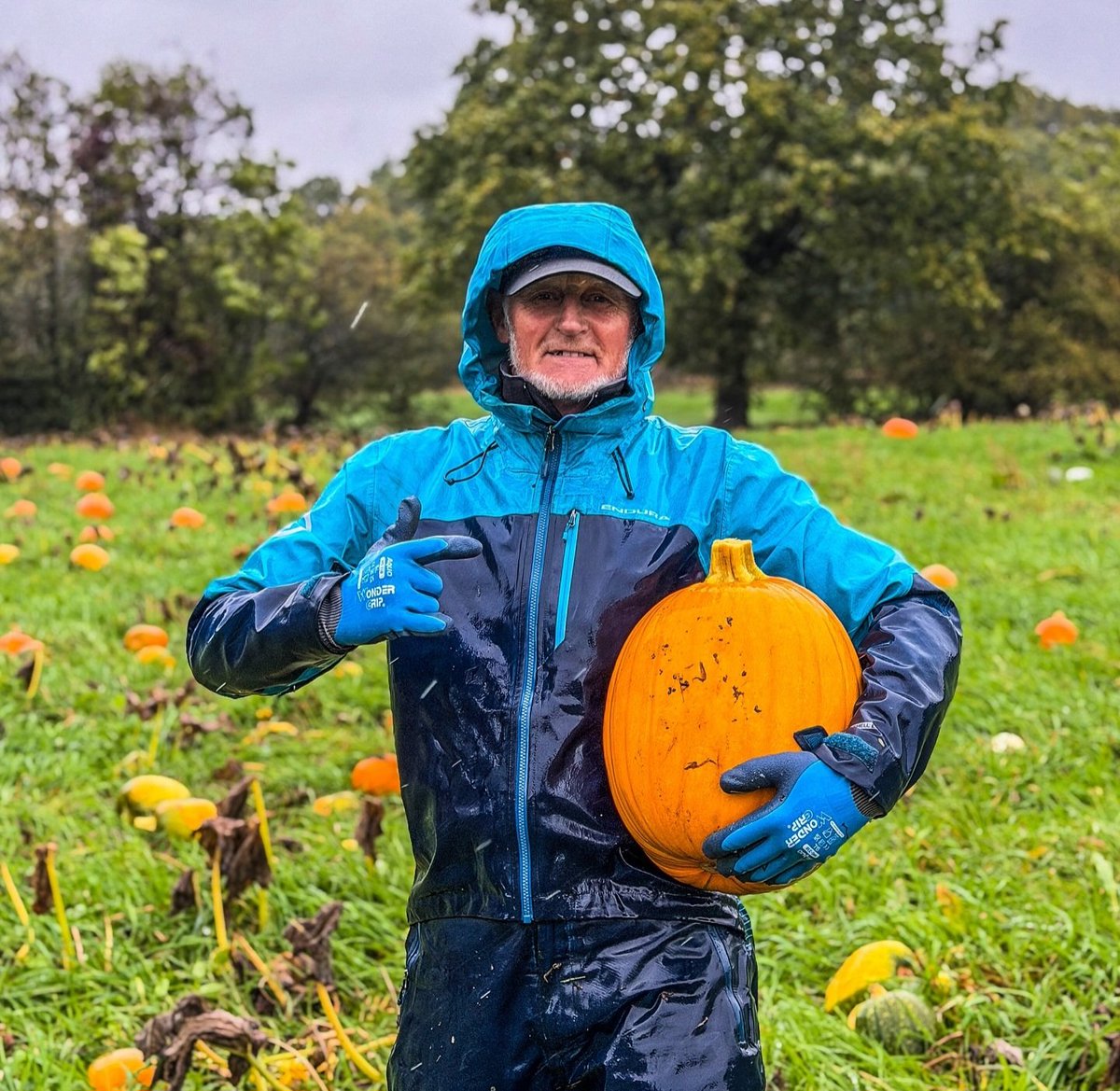 Marc Boyle tweet media