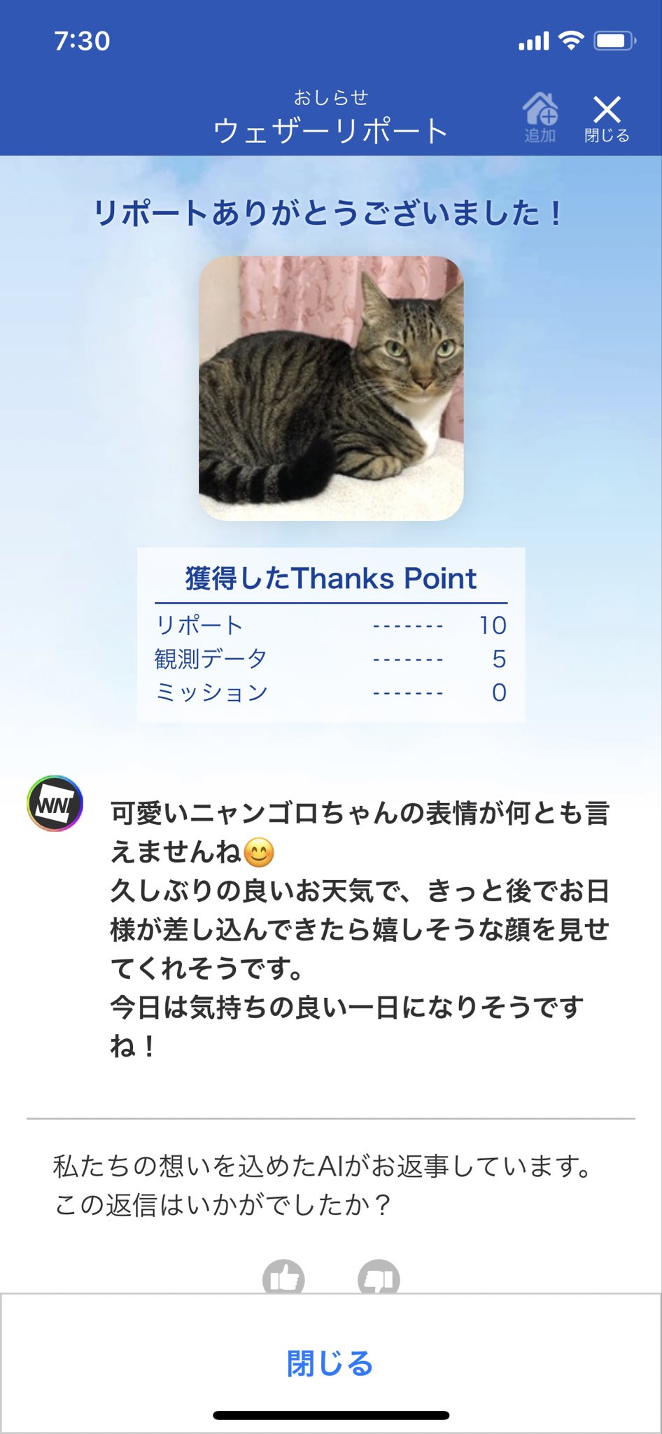 ウェザーリポート - Search / X