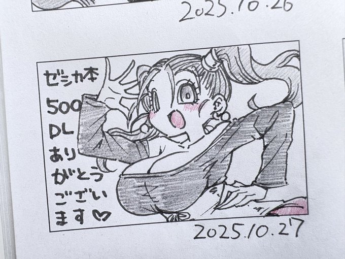 ゼシカ本500DL嬉しい!! 