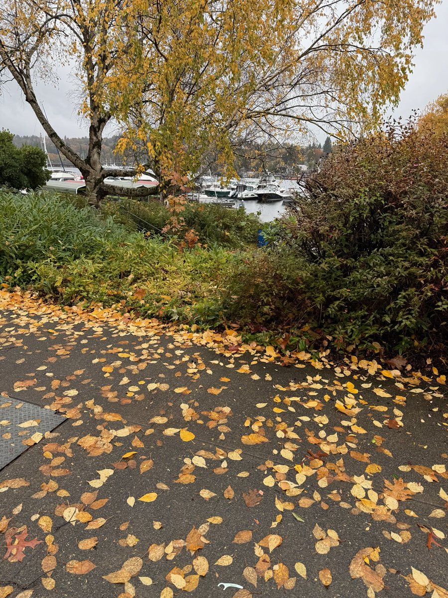 Jennifer Steen tweet media