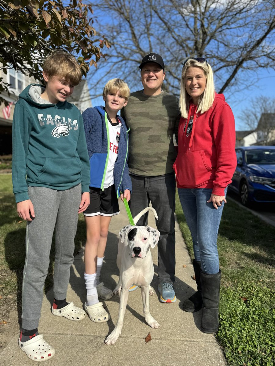 From an overcrowded shelter to a wonderful #family happy #adoptionday Dex. #afostersavedmylife #rescuedogs #shelterpets #boxerpuppy #boxerdogs #adoptdontshop