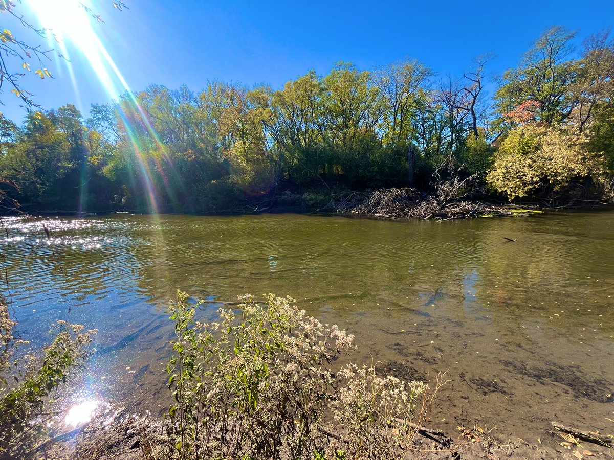 ItsPuchi's tweet image. 